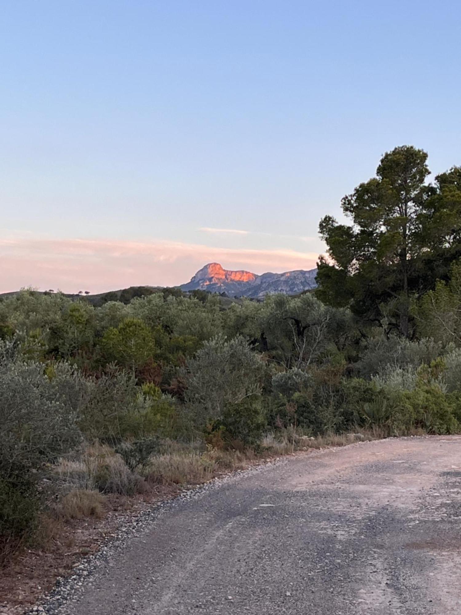 Appartement Casa Solans -
