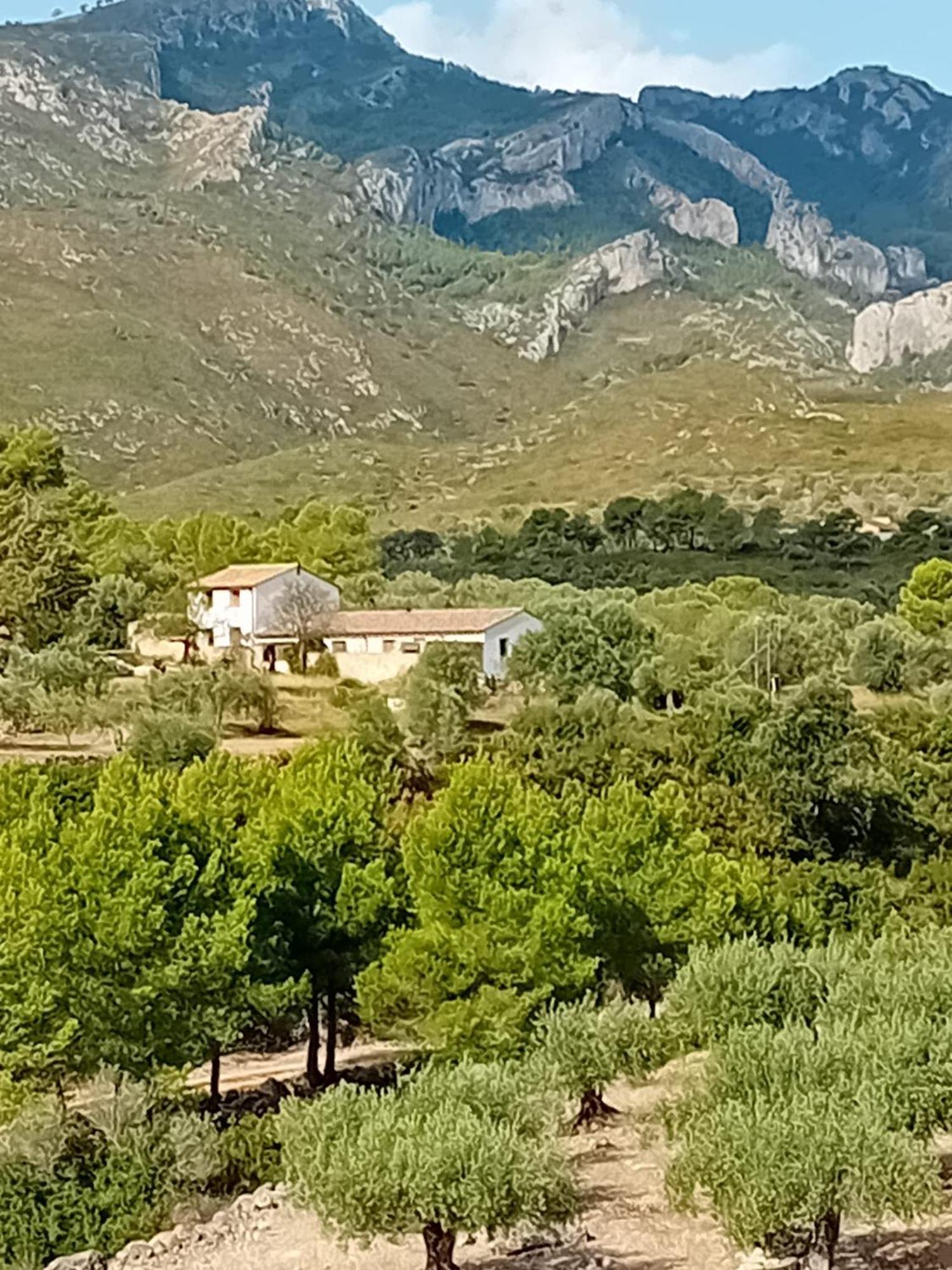Casa Solans -
